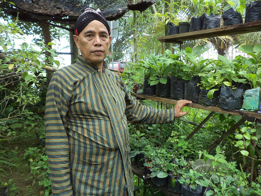 Jaga Daya Tahan Tubuh dari Virus dengan Racikan Herbal Segar