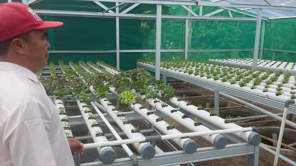 Dewi Mapan Ketingan: Bersama Bersepakat Usaha Sayuran Hidrophonik Ternak Lele dan Budidaya Magot