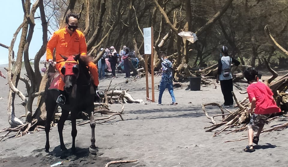 Kunjungan Wisatawan Meningkat, Personel Basarnas Yogyakarta Gelar Patroli Berkuda di Goa Cemara