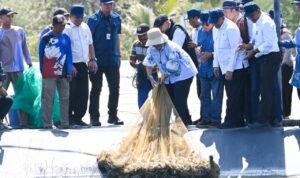 PNA